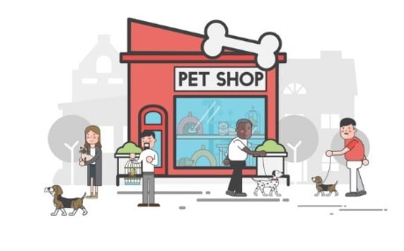 Trabalhar Com Pet Shop
